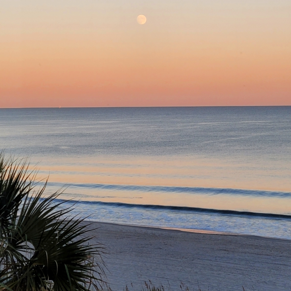 Meet your Posher, Joanne